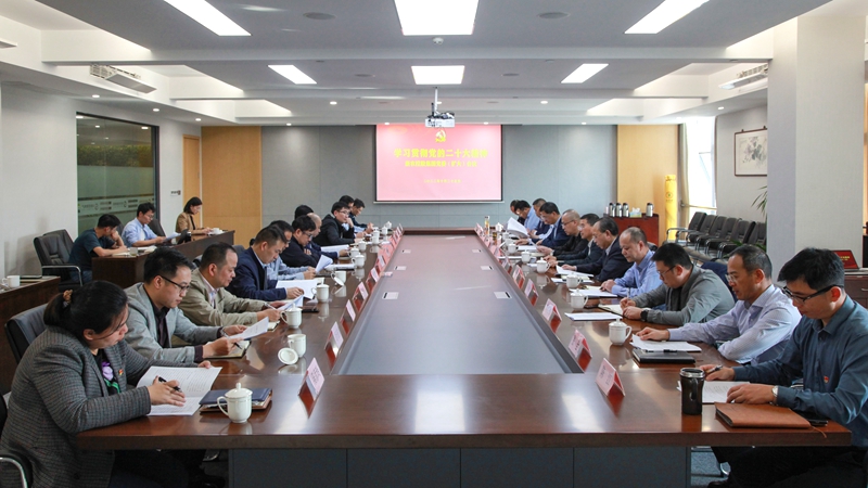 集團召開黨委（擴大）會議傳達學(xué)習貫徹黨的二十大精神