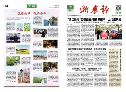 浙農(nóng)報2020第4期（一、四版）