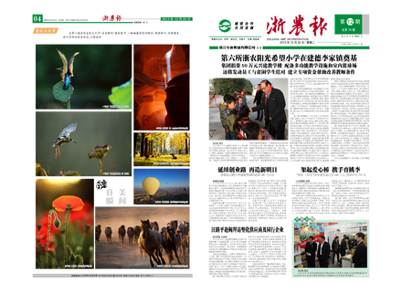 浙農(nóng)報(bào)2013年第12期（一、四版）